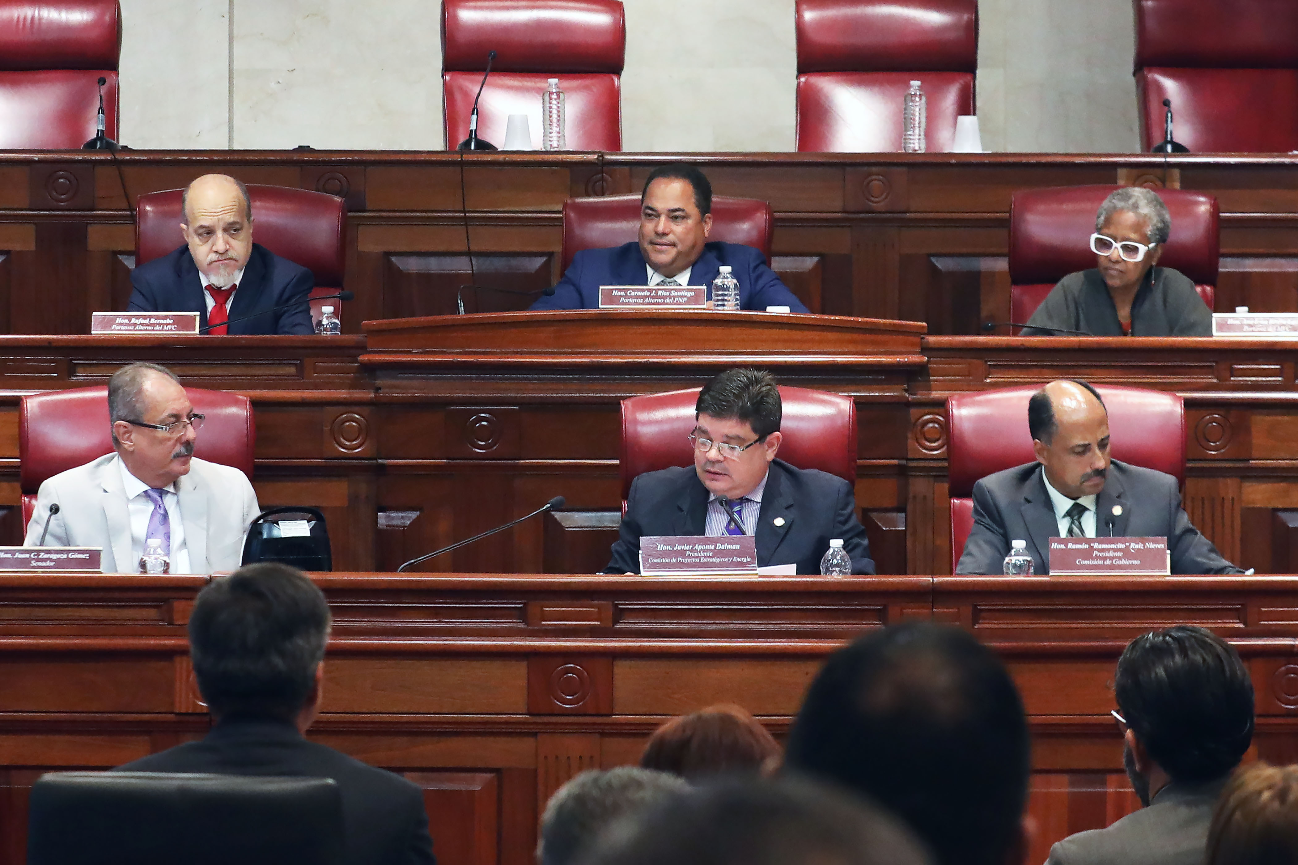 De la vista pública participaron varios senadores/as.